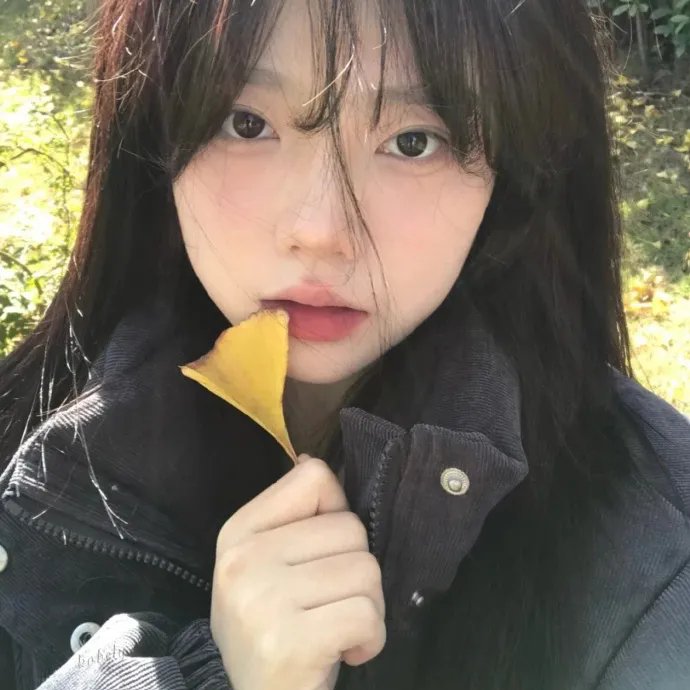 码头风云